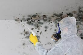 Mold Odor Removal Services in Nottingham, PA